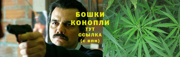 винт Новозыбков