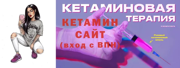 хмурый Пересвет