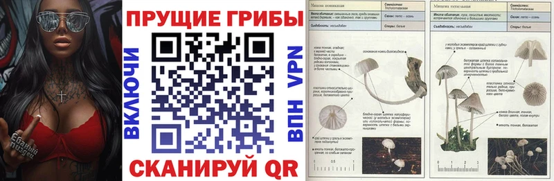 Галлюциногенные грибы Psilocybe  ссылка на мегу зеркало  Солнечногорск 